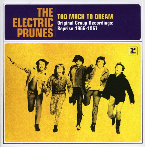 Electric Prunes Too Much To Dream The Original Group Recordings 1966