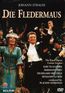 Die Fledermaus