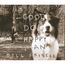 Good Dog Happy Man (180g) (2LP + CD)