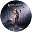 Countdown To Extinction (Limited Edition) (Picture Disc)