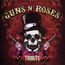 Tribute To Guns N' Roses