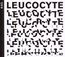 Leucocyte