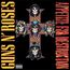 Appetite For Destruction