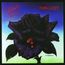 Black Rose (180g)