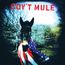 Gov't Mule