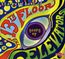 Going Up: The Very Best Of 13th Floor Elevators