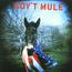 Gov't Mule