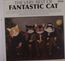 Very Best Of Fantastic Cat