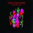 Wasting Light (180g)