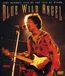 Blue Wild Angel: Live At The Isle Of Wight