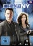 CSI New York Season 6