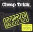 Authorized Greatest Hits