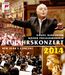 Neujahrskonzert 2014 der Wiener Philharmoniker