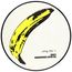The Velvet Underground (180g) (Picture Disc)