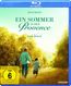 Ein Sommer in der Provence (Blu-ray)