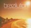 Brazilution 5.3 - Compiled By Ian Pooley