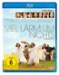 Viel Lärm um nichts (1993) (Blu-ray)