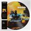 Salisbury (Limited Edition) (Picture Disc)