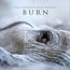 Burn (White Vinyl)