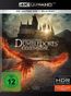 Phantastische Tierwesen: Dumbledores Geheimnisse (Ultra HD Blu-ray & Blu-ray)