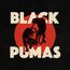 Black Pumas (Deluxe Edition) (Translucent W/ Black & Red Splatter Vinyl)