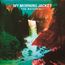 The Waterfall (2LP + CD)