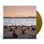 A Day At The Beach (Limited Edition) (Gold Vinyl)