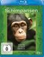 Schimpansen (Blu-ray)