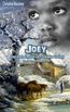 Bouzrou, C: Joey-Das Geheimnis von Swake Valley