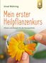 Mein erster Heilpflanzen-Kurs