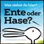 Ente oder Hase? Was siehst du hier?